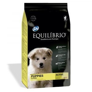Equilibrio Puppies All Breeds Active