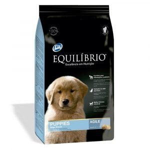 Equilibrio Puppies Large Breeds Agile