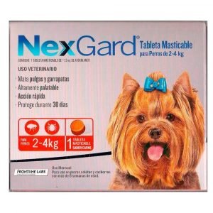 Nexgard Tableta Masticable para Perros de 2 a 4kg