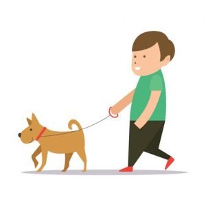Paseo de perros personalizados