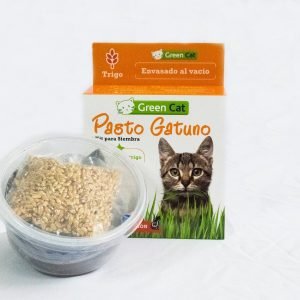 PASTO PARA GATOS-KIT DE SIEMBRA GREENCAT