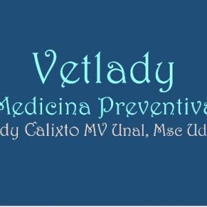 Servicios veterinarios preventivos gatos perros equinos