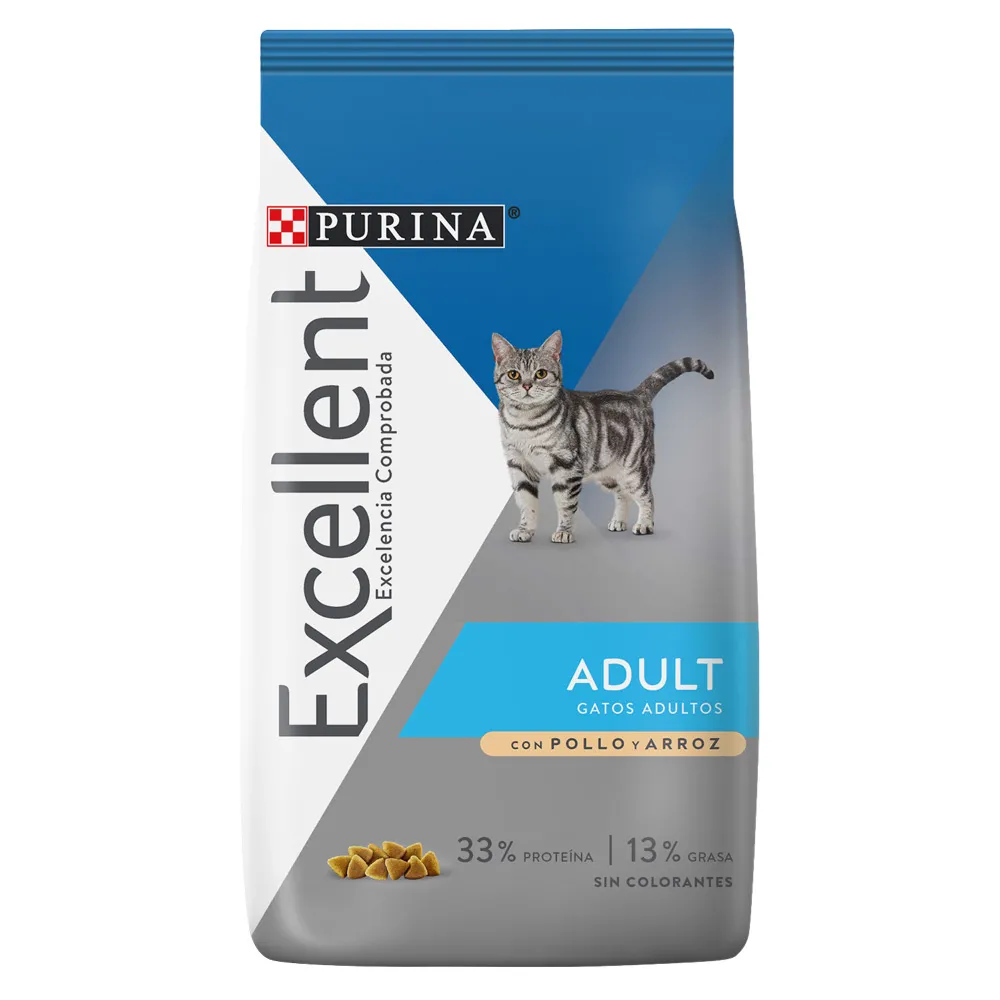 Excellent Adult Cat