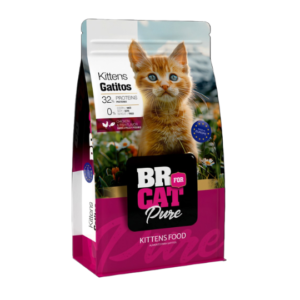 BR For Cat Kitten