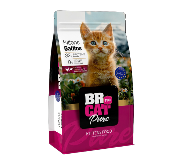 BR For Cat Kitten