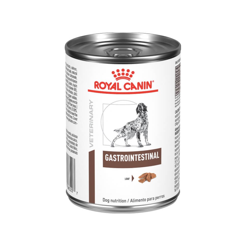 ROYAL CANIN ALIMENTO HUMEDO GASTRO INTESTINAL HE DOG 385g