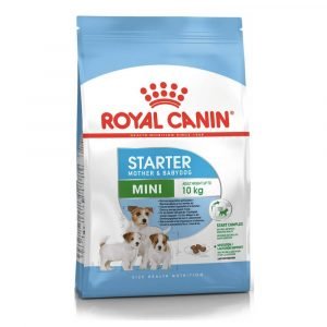 ROYAL CANIN MINI STARTER M&B DOG 1KG