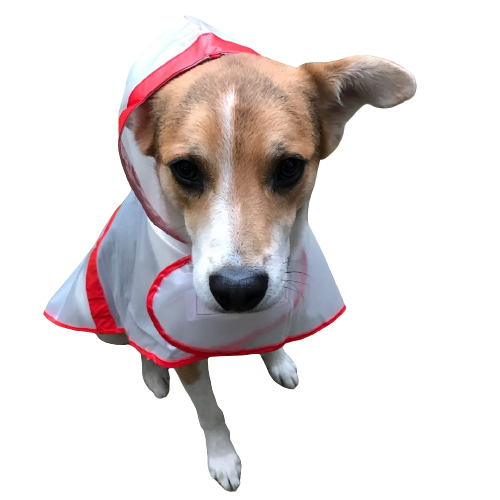 Impermeable trasparente con borde de color rojo talla S