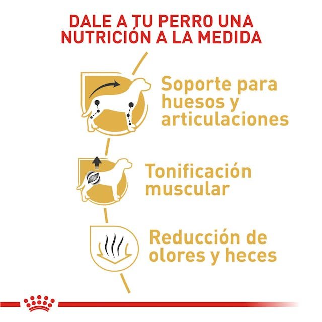 ROYAL CANIN DACHSHUND 1.5KG - Image 3