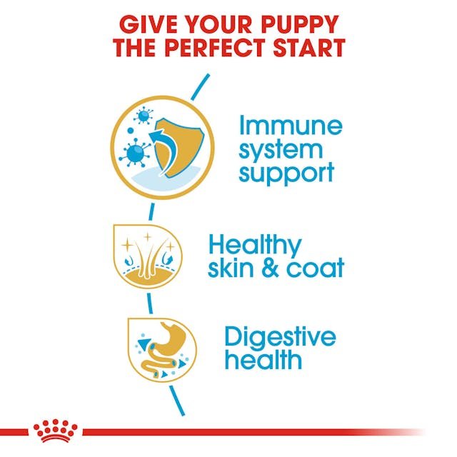 ROYAL CANIN GOLDEN RETRIEVER PUPPY 12 KG - Image 3