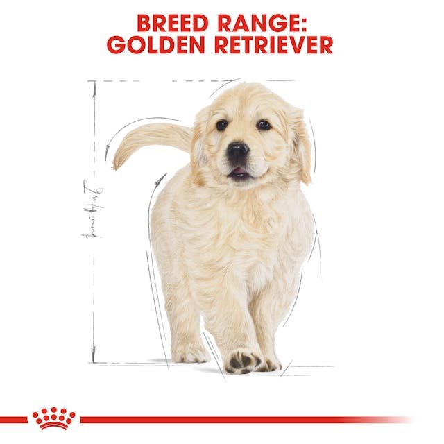 ROYAL CANIN GOLDEN RETRIEVER PUPPY 12 KG - Image 2