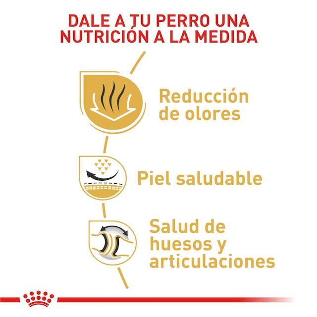 ROYAL CANIN BULLDOG - Image 3