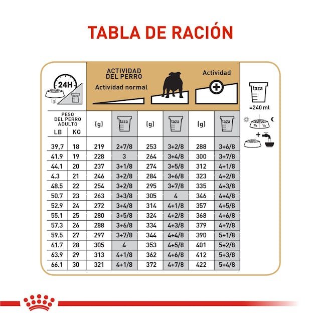 ROYAL CANIN BULLDOG - Image 4