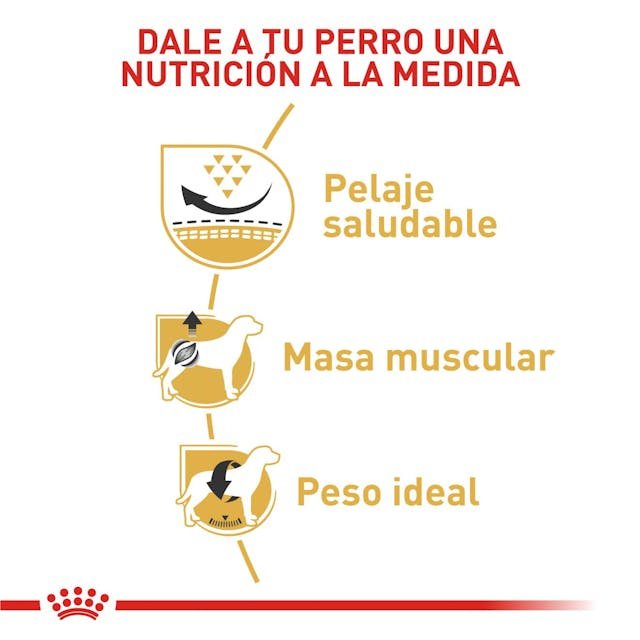ROYAL CANIN PUG ADULT 3 Kg - Image 3