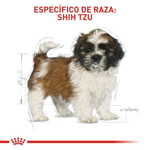 ROYAL CANIN SHIH TZU PUPPY 1.5 KG - Image 2
