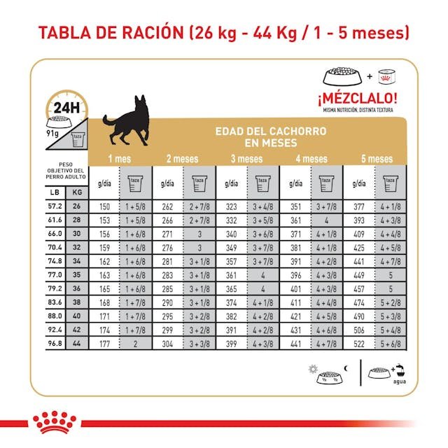 ROYAL CANIN GERMAN SHEPHERD PUPPY 13.6 KG - Image 4