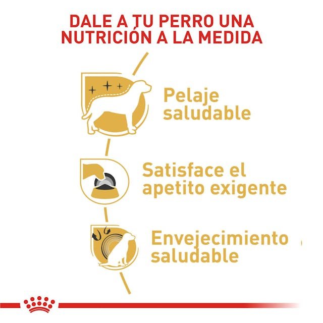 ROYAL CANIN YORKSHIRE TERRIER - Image 3