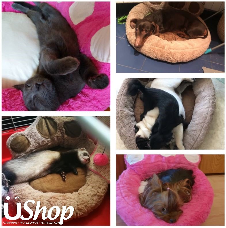 CAMA MASCOTA GATO PERRO COJIN HUELLA PORTABLE LAVABLE 68X62CM - Image 5