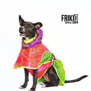 Capa impermeable frikidrain