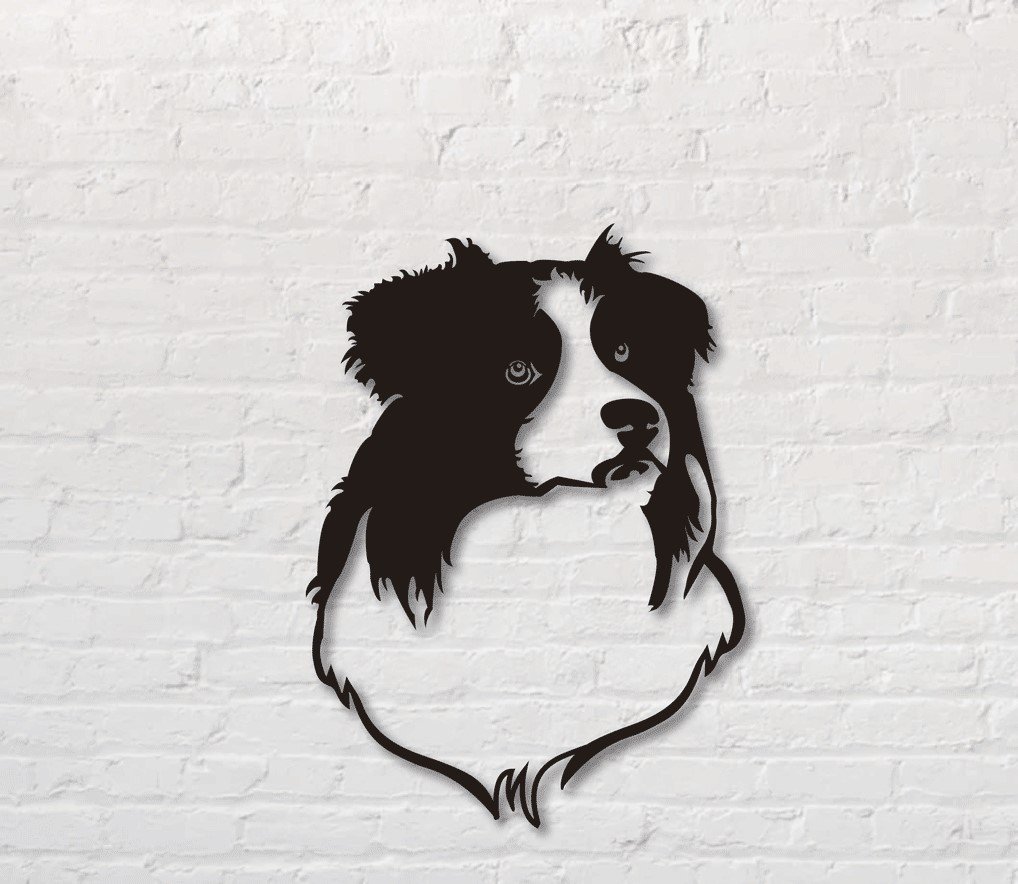 Cuadro Border Collie