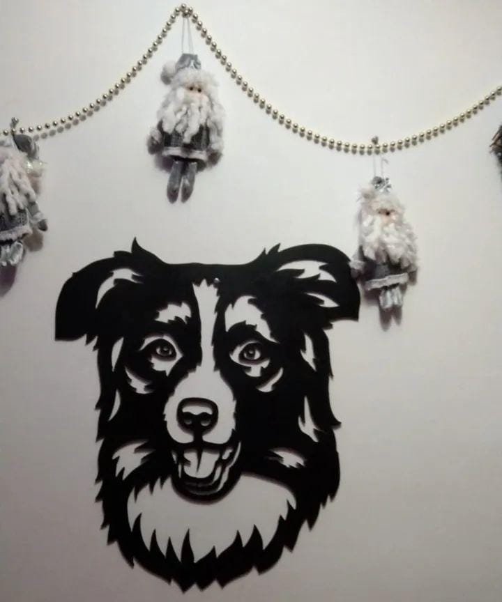 Cuadro Border Collie - Image 8