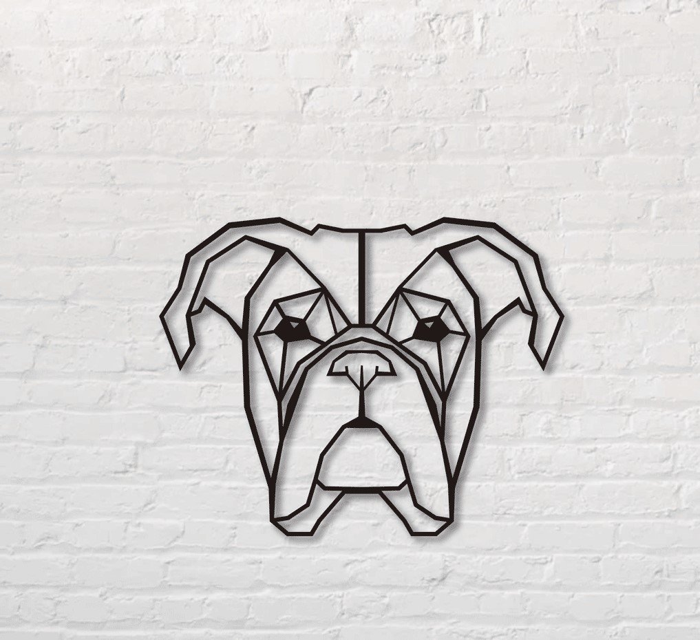 Cuadro Boxer