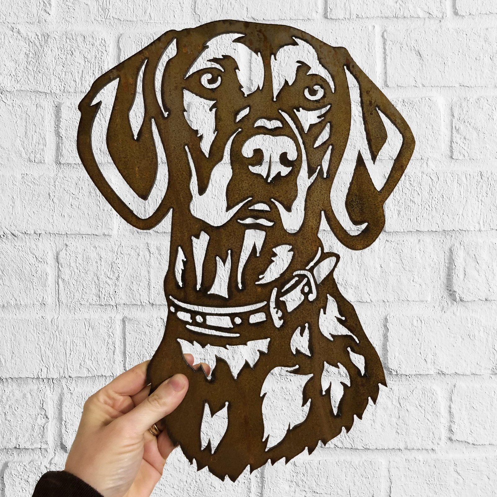 Cuadro Labrador - Image 7
