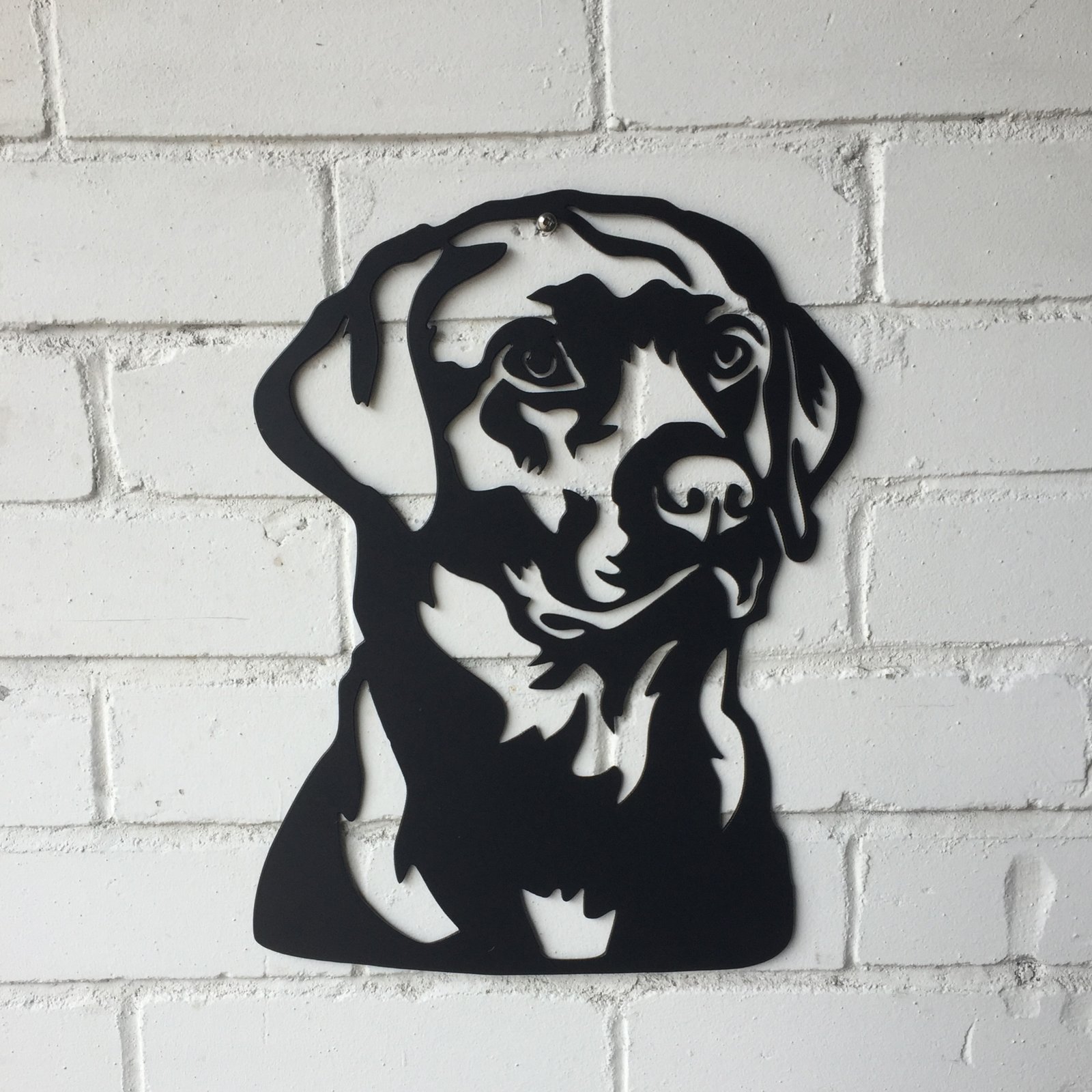 Cuadro Labrador - Image 9