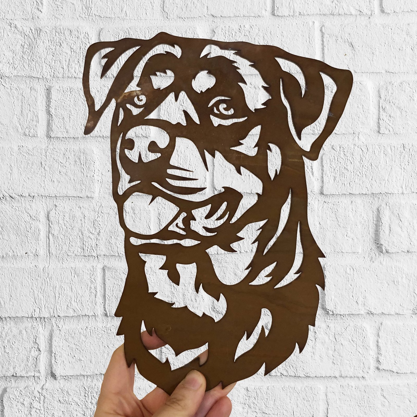 Cuadro Labrador - Image 12