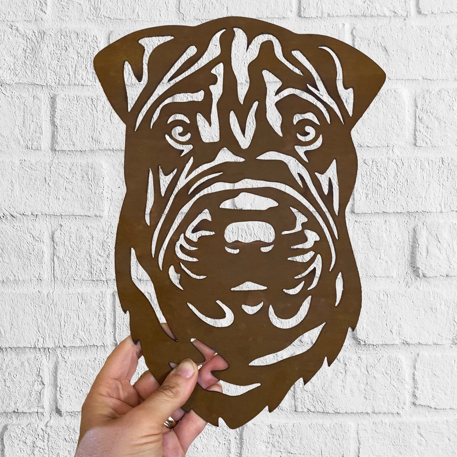 Cuadro Sharpei