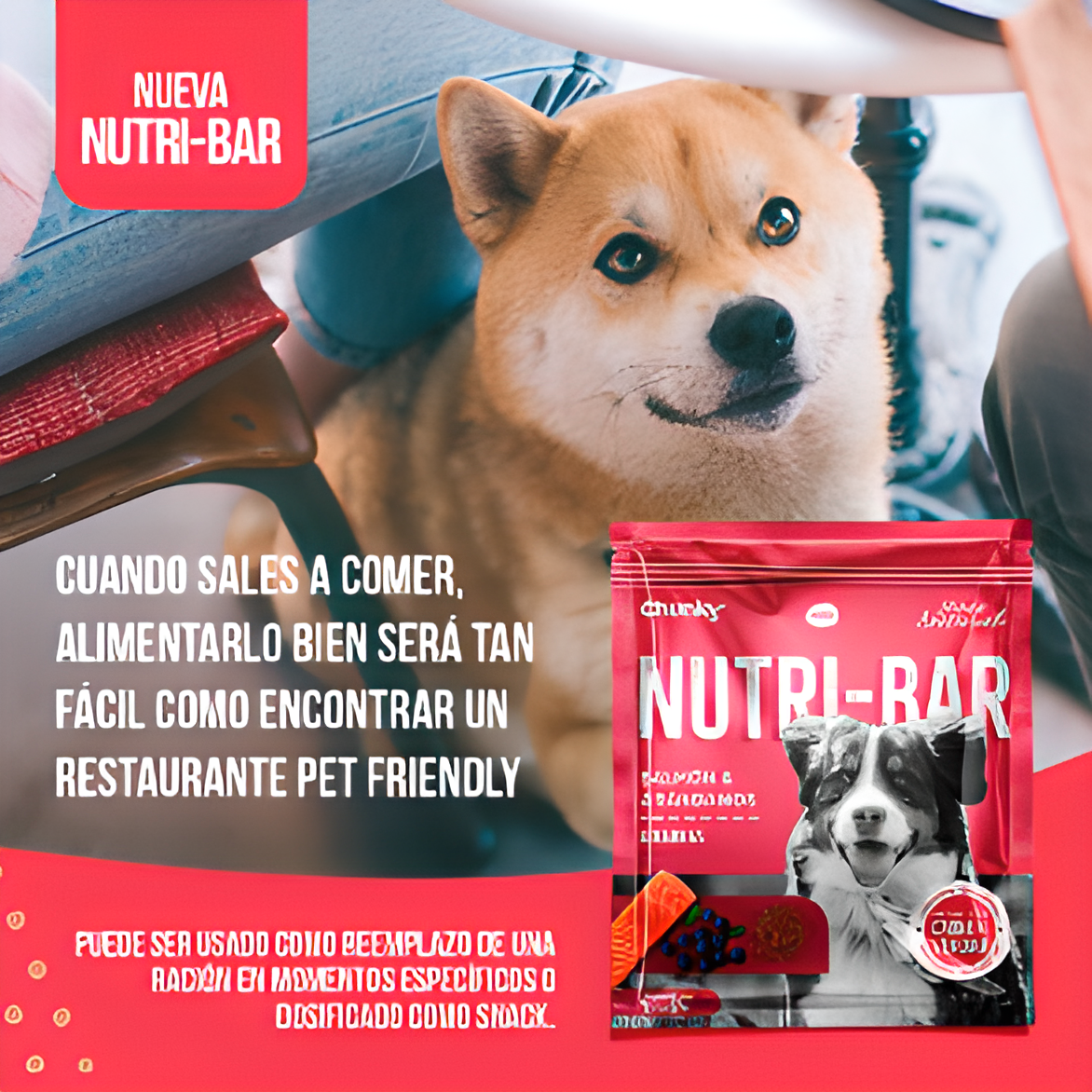 Nutri Bar Snack Natural para Perros de Todas las Edades - Image 4