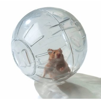 Bola Rueda Para Hámster Con Soporte