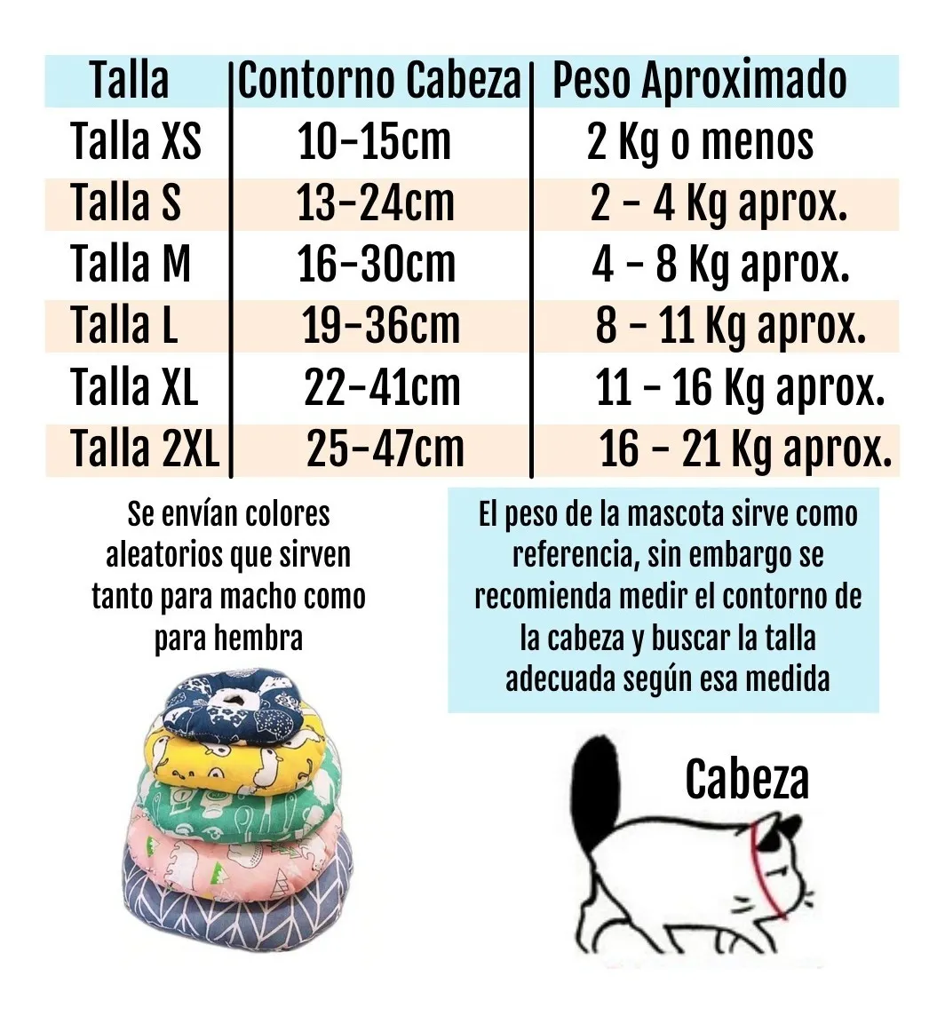 Collar Tipo Dona Isabelino XS a M - Image 6