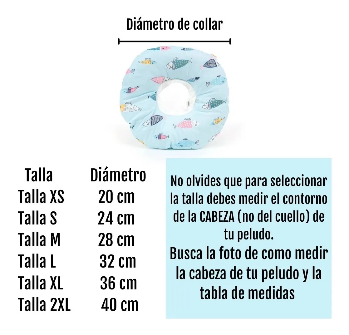 Collar Tipo Dona Isabelino XS a M - Image 5