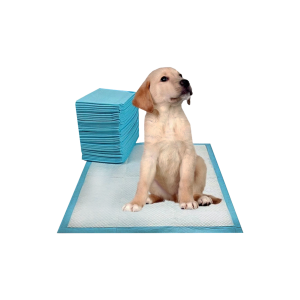 40 Tapetes Entrenamiento Absorbentes Para Mascota 60x60
