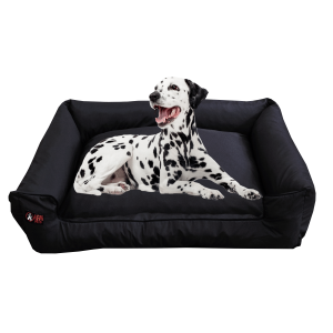 Cama Acolchada Luxury 100% Impermeable, Grande + Obsequio