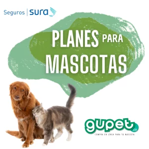 Seguro Para Mascotas