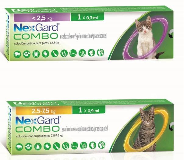 NEXGARD COMBO CAT