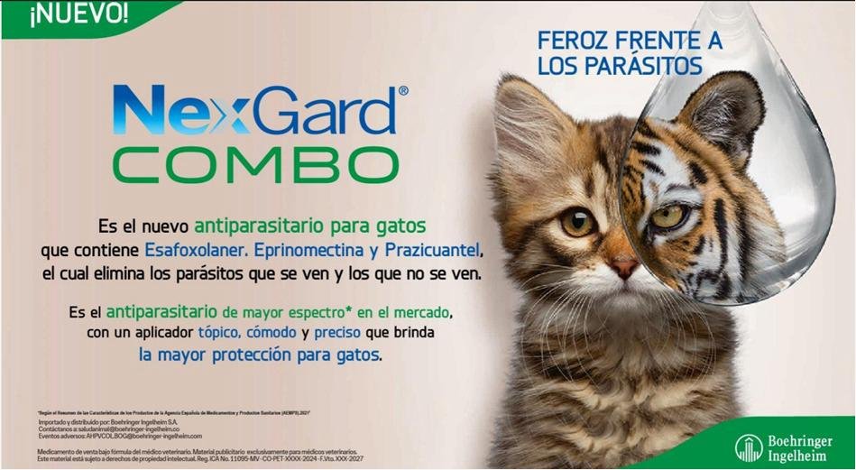NEXGARD COMBO CAT - Image 2