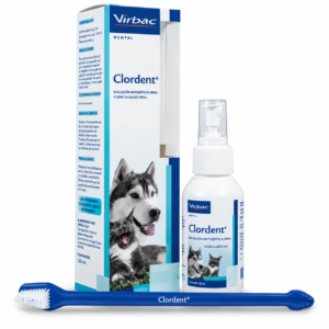 Clordent Spray 120 ml – Higiene Oral para Perros y Gatos