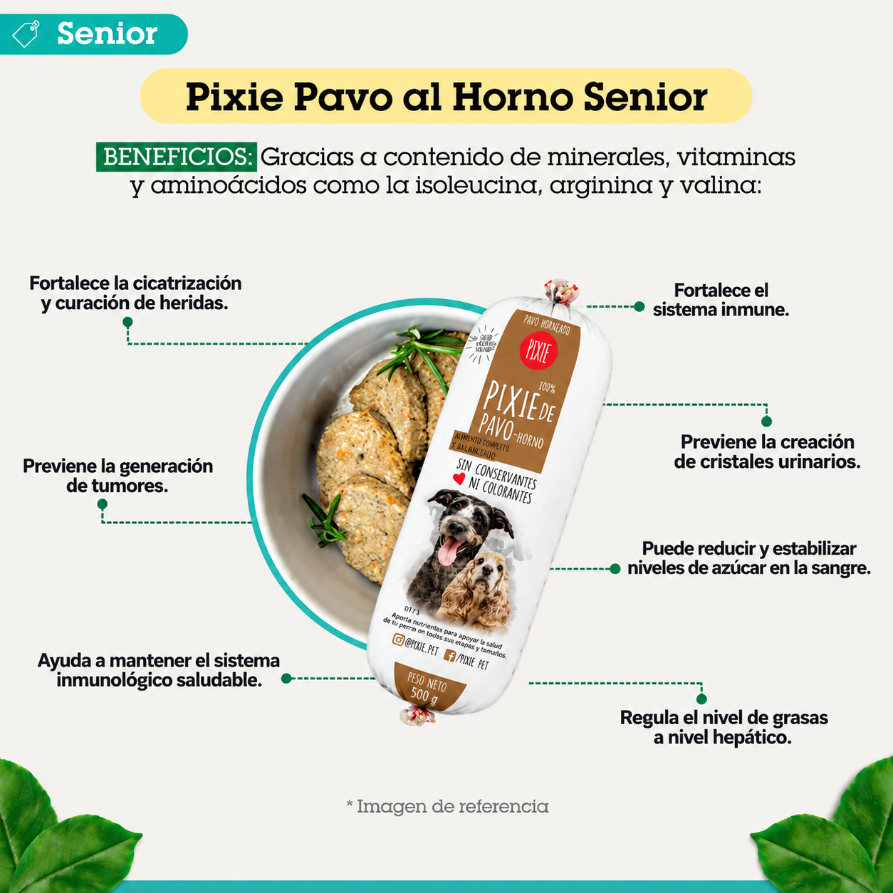 PIXIE DIETA HORNEADA PAVO PARA PERROS SENIOR (BAJA EN GRASA Y PROTEINA) 500GR - Image 3