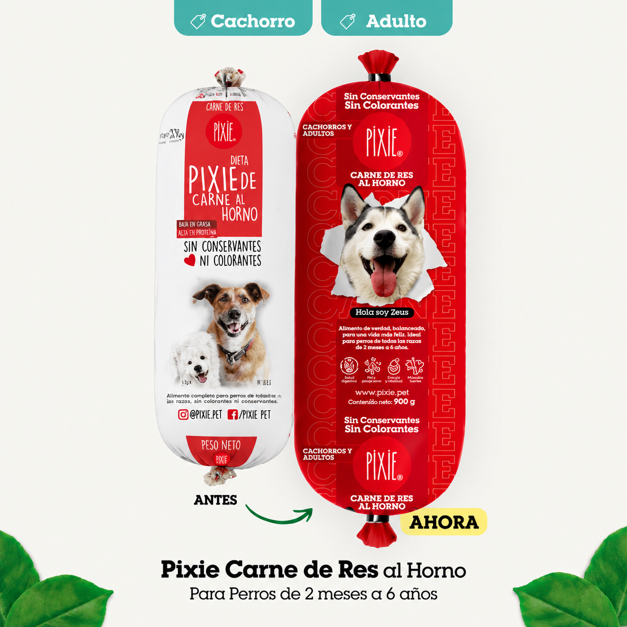 PIXIE DIETA HORNEADA CARNE DE RES PARA PERROS CACHORROS Y ADULTOS 500GR