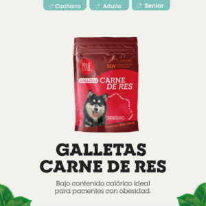 PIXIE GALLETAS CARNE DE RES
