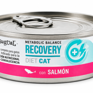 Disugual cat recovery con salmon 85g