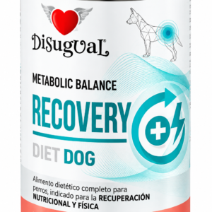 Disugual dog recovery con salmon 400g